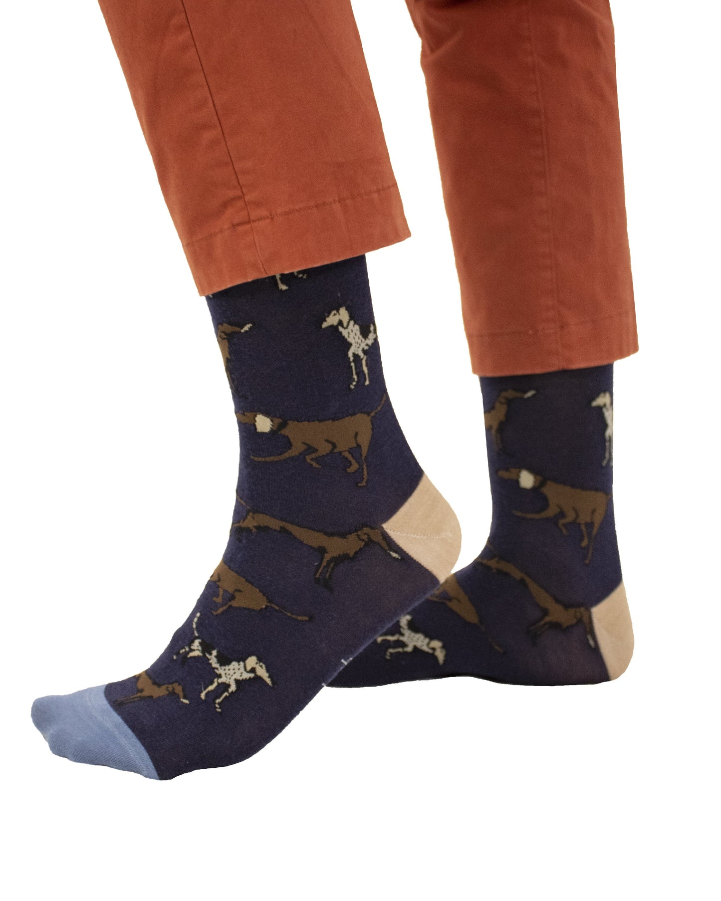 Donald Hound Dogs Navy - Lords Of Harlech