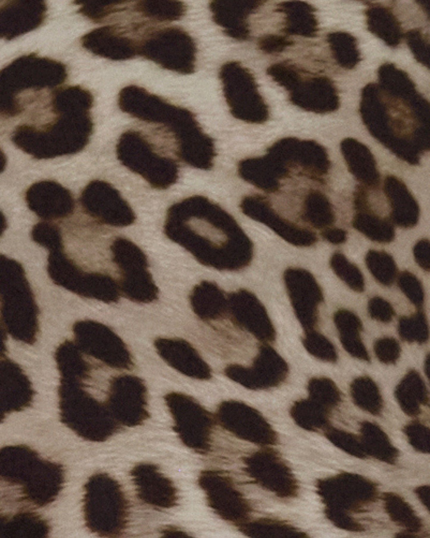 CHARLES LEOPARD BROWN MENS TAILORED PANT