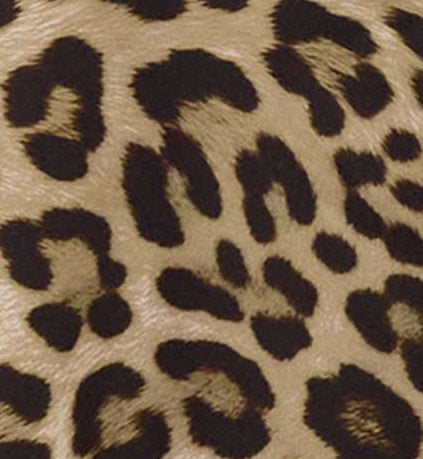 SUZY LEOPARD BROWN WOMENS PRINTED SHIRT