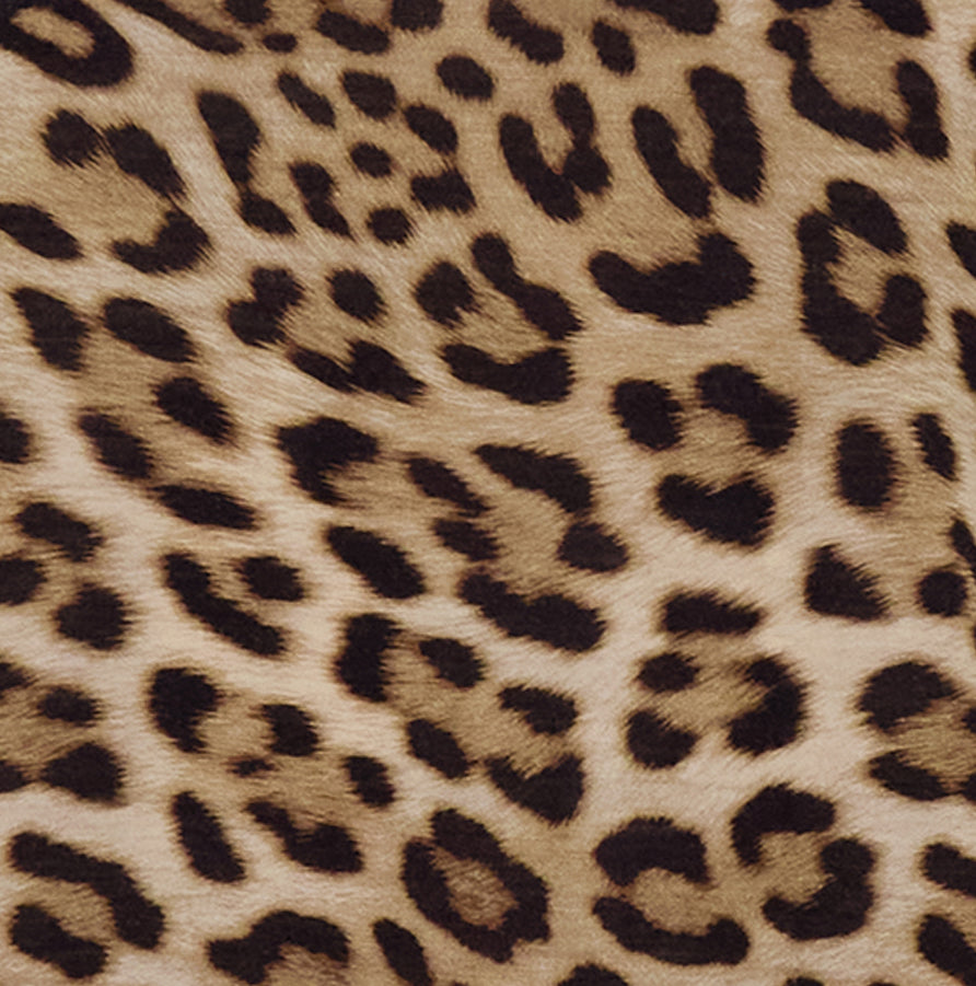 KATHERINE LEOPARD BROWN WOMENS CAP SLEEVE TOP