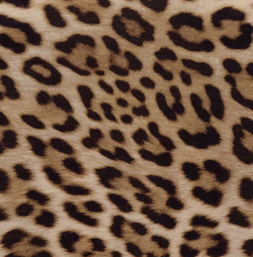 TARA LEOPARD BROWN WOMENS MUSCLE TANK