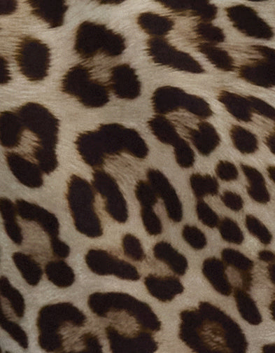 DEANNA LEOPARD BROWN WOMENS WIDE-LEG PANT