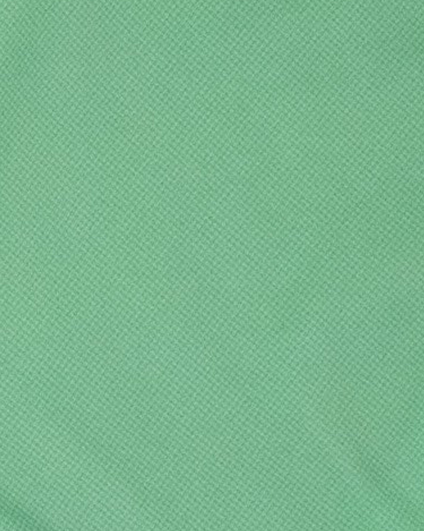 POOL OXFORD SWIM SHORT - CLOVER