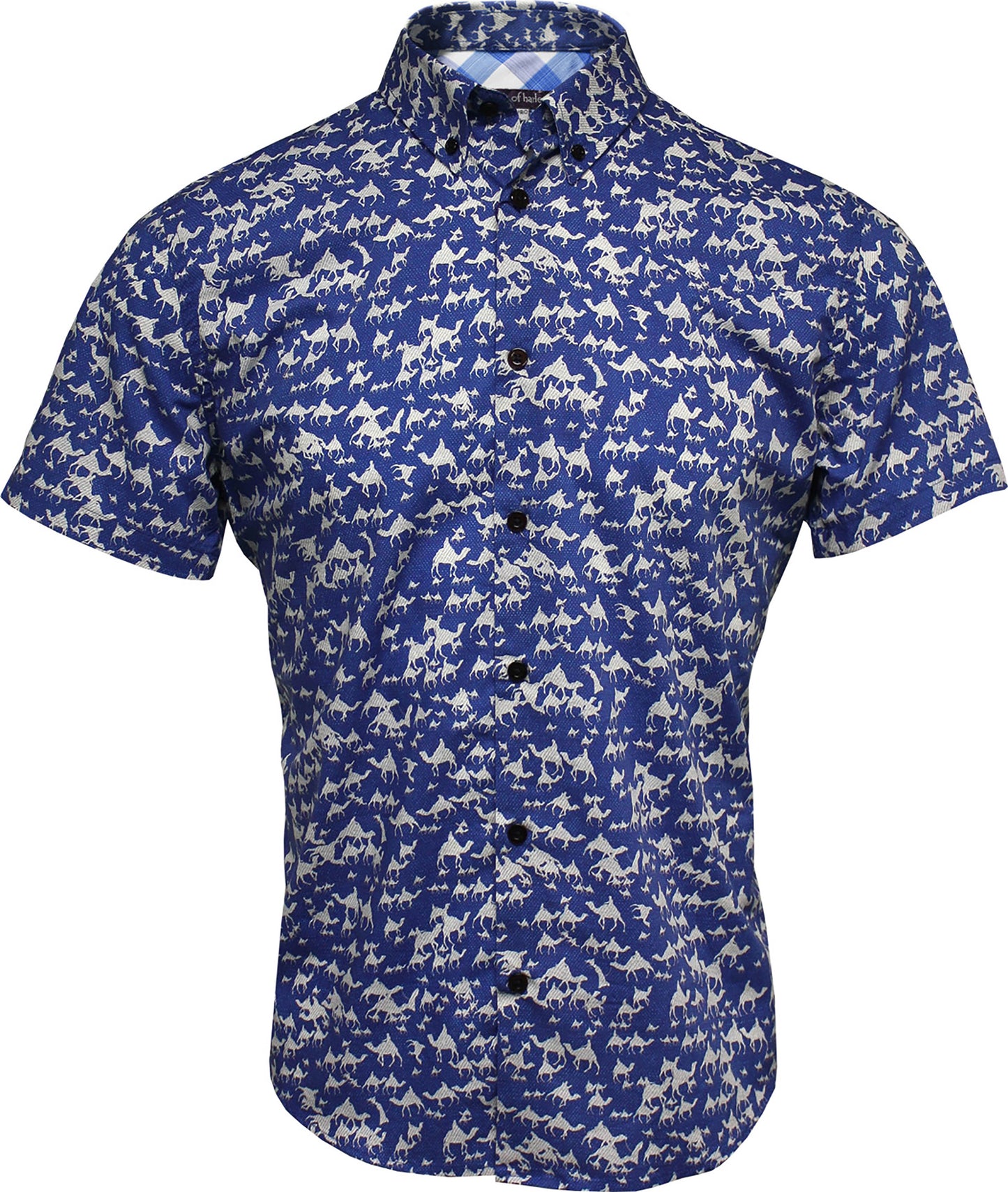 Tim Sahara Blue Shirt